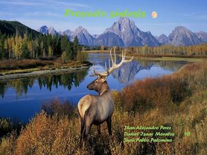 Especies endemicas de Colombia