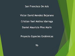 Especies Endemicas De Colombia