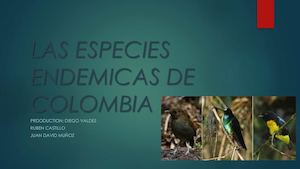 Las Especies Endemicas De Colombia