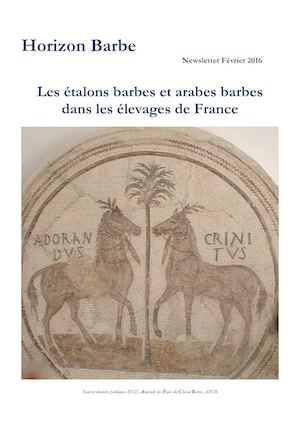 Les étalons barbes et arabes barbes dans les élevages de France