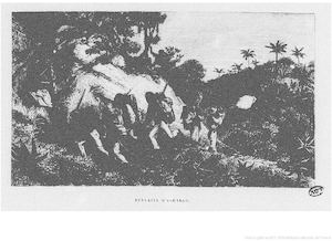 L'Afrique sauvage - nouvelles excursions au pays des Ashangos, par Paul Belloni Du Chaillu, 1868