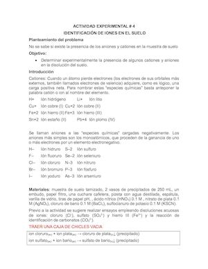 Actividad Experimental 4 Identificacion De Iones En Suelo