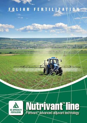 ICL Nutrivant brochure 2012 for Kenya market