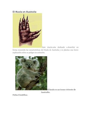 El Koala En Australia