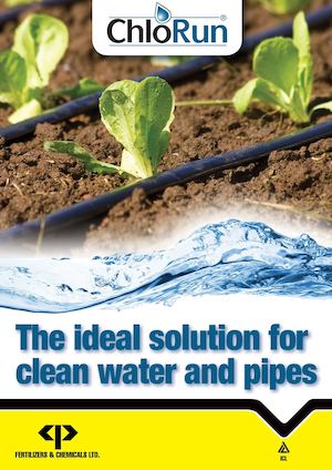 ICL ChloRun 2014 Brochure