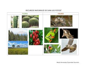 Recursos Naturales De San Luis Potosí
