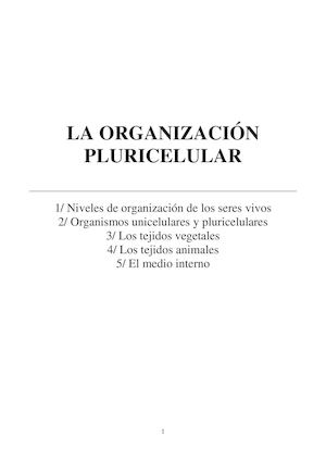 LA ORGANIZACIÓN PLURICELULAR