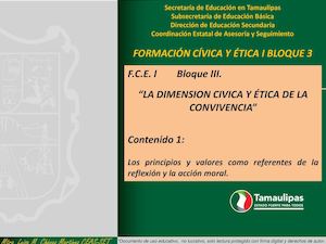 Fce I B3 1 2 Valores Compartidos Y No Compartidos Ceas Set