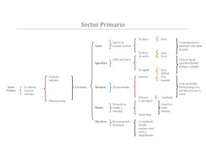 Esquemas Sector Primario