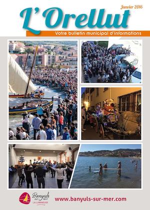 Orellut N°7 Web