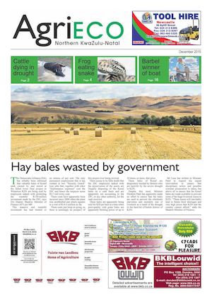 NKZN Agrieco December 2015