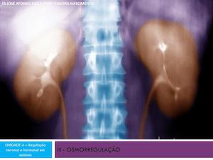 Iv Osmorregulao