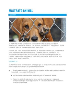 Maltrato Animal