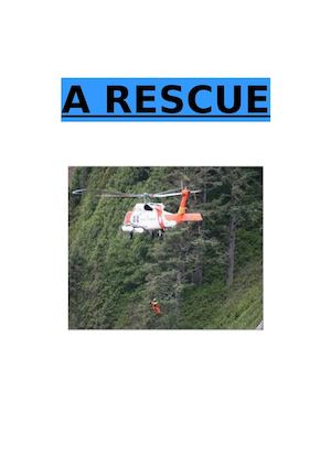 A Brave Rescue
