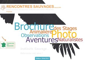 Brochure Stage 2016 2017