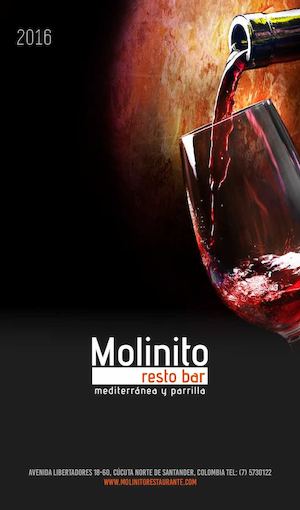 Molinito Portafolio2