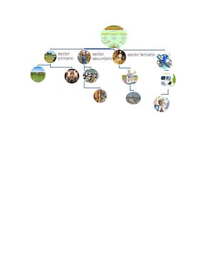 Mapa Mental No 1 (Mariana Ospina S )
