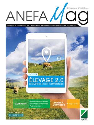 ANEFA mag 15