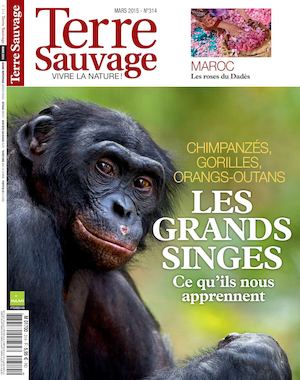 Terre Sauvage 314r