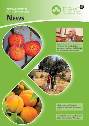 News Trevo Nº1_Fevereiro2016
