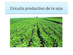 Circuito Productivo De La Soja
