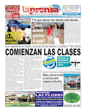 Edición Impresa Nº229