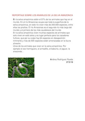 Reportaje Sobre Los Animales De La Selva Amazonica