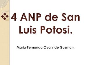 4 Anp De San Luis Potosi
