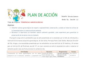 Plan De Acción Interno Mercedes 5to A