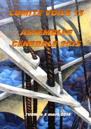 Rapport D'activité Ag Cdv 2015