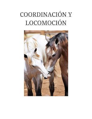 Tema 12: Coordinación y locomoción