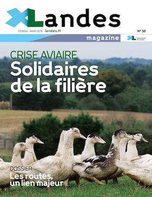 XLandes N°38