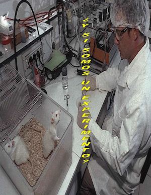 ¿Y si los humanos somos un experimento?