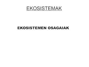 Ekosistema_Astronautak_5B