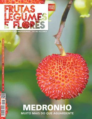 Ed. 161 / Março 2016