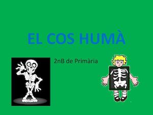 El Cos Humà 2n B