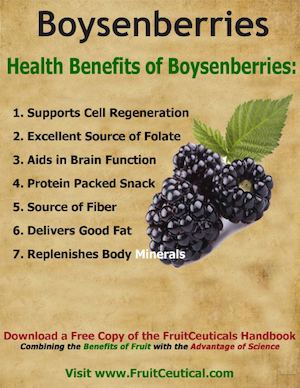 258956168 Health Benefits Of Boysenberries