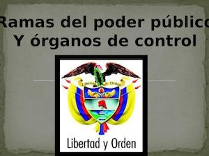 Ramas Del Poder Publico