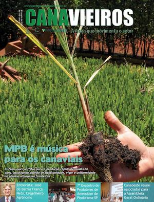 MPB é música para os canaviais