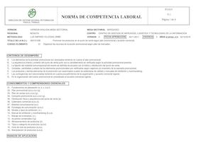Norma De Competencia Laboral 260101036