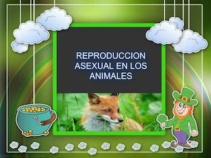 Presentacion 3