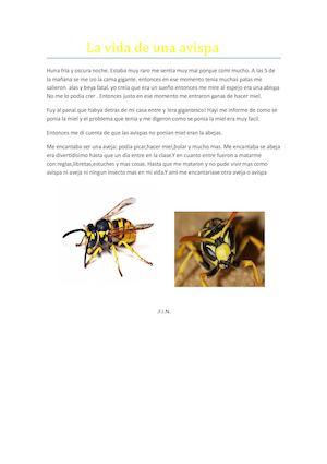 La Vida De Una Avispa