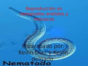 Kevin Diaz Y Kevin Delgado 802