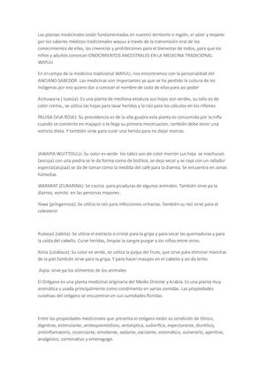 PLANTAS MEDICINALES WAYUU