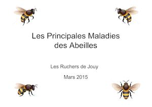 Principales Maladies chez les abeilles