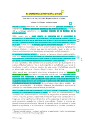 El Profesinal Reflexivo Equipo