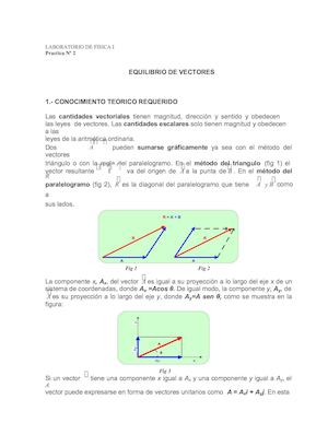003 Equilibrio Vectores (1)
