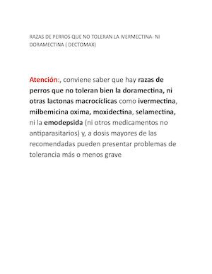 Razas De Perros Que No Toleran La Ivermectina