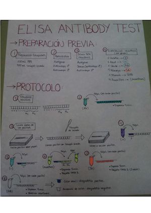 Protocolo ELISA