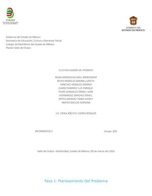 Proyecto De Jitomate 203